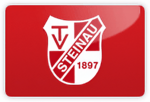 tvsteinau-logo